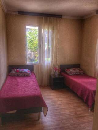 Гостевой дом Guest House Leonidze Гонио Двухместный номер с 2 отдельными кроватями и душем-52